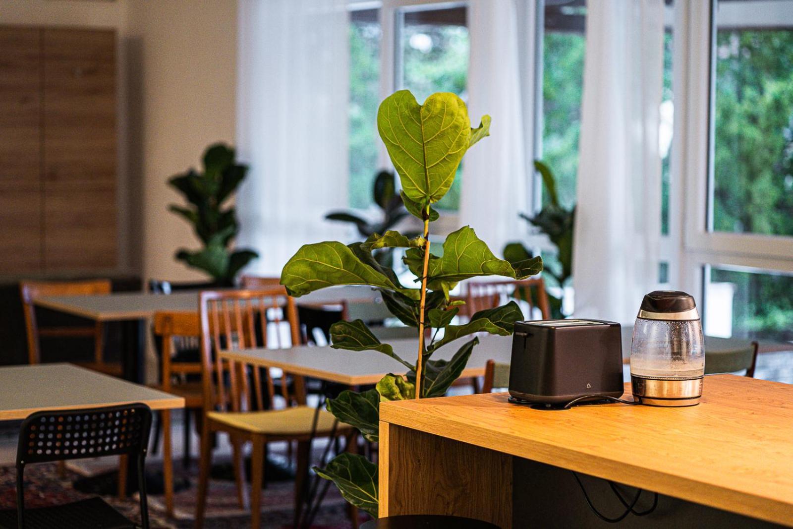 Dream Factory Melk - Green Hostel ภายนอก รูปภาพ
